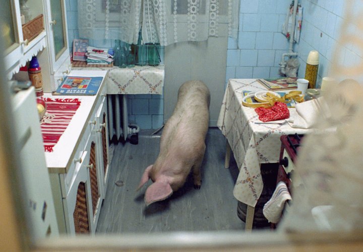 Кадр из фильма «Сказки золотого века» (2009, Румыния, Франция) реж.Ханно Хефер, Рэзван Мэркулеску, Кристиан Мунджиу, Константин Попеску, Иоана Урикару