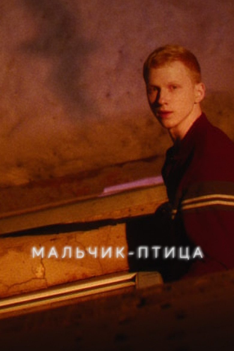 Постер фильма «Мальчик-птица»