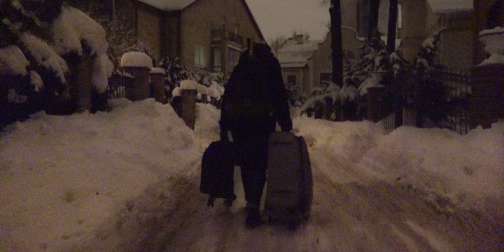 Коровы, экология, коронавирус, ДАУ: как прошел семидесятый Берлинале