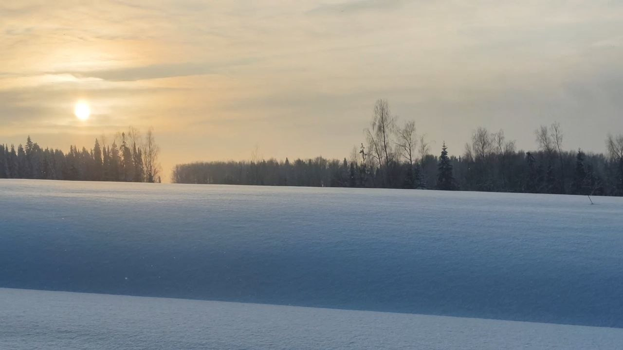 Кадр из фильма «Есть ли жизнь на Марсе?»