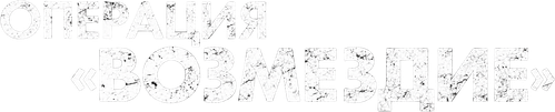 Операция «Возмездие»