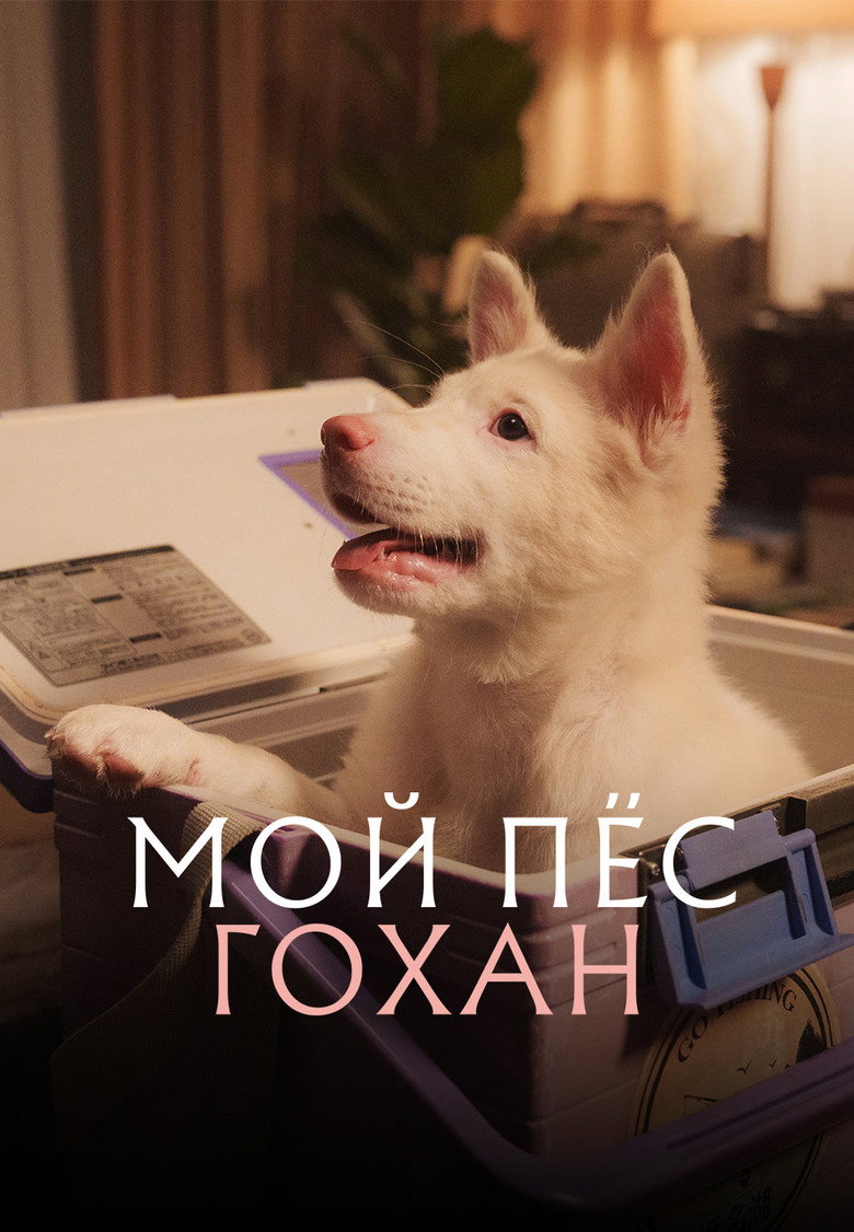 Постер фильма «Мой пёс Гохан»