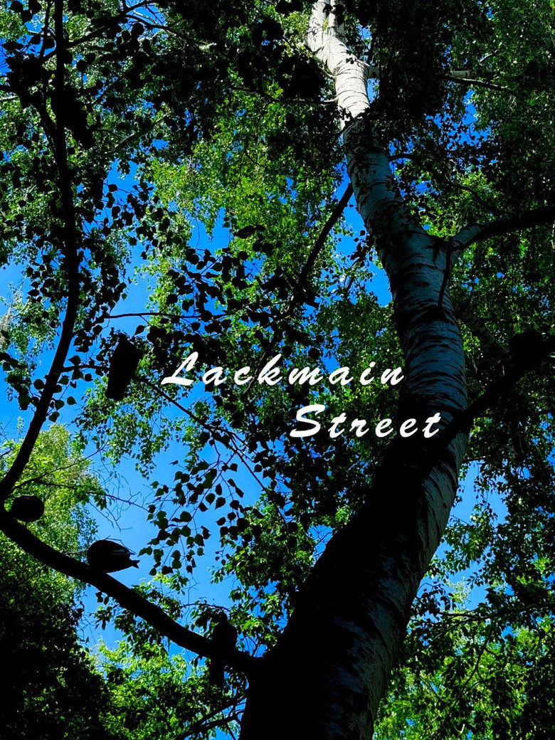 Постер фильма «Lackmain Street»