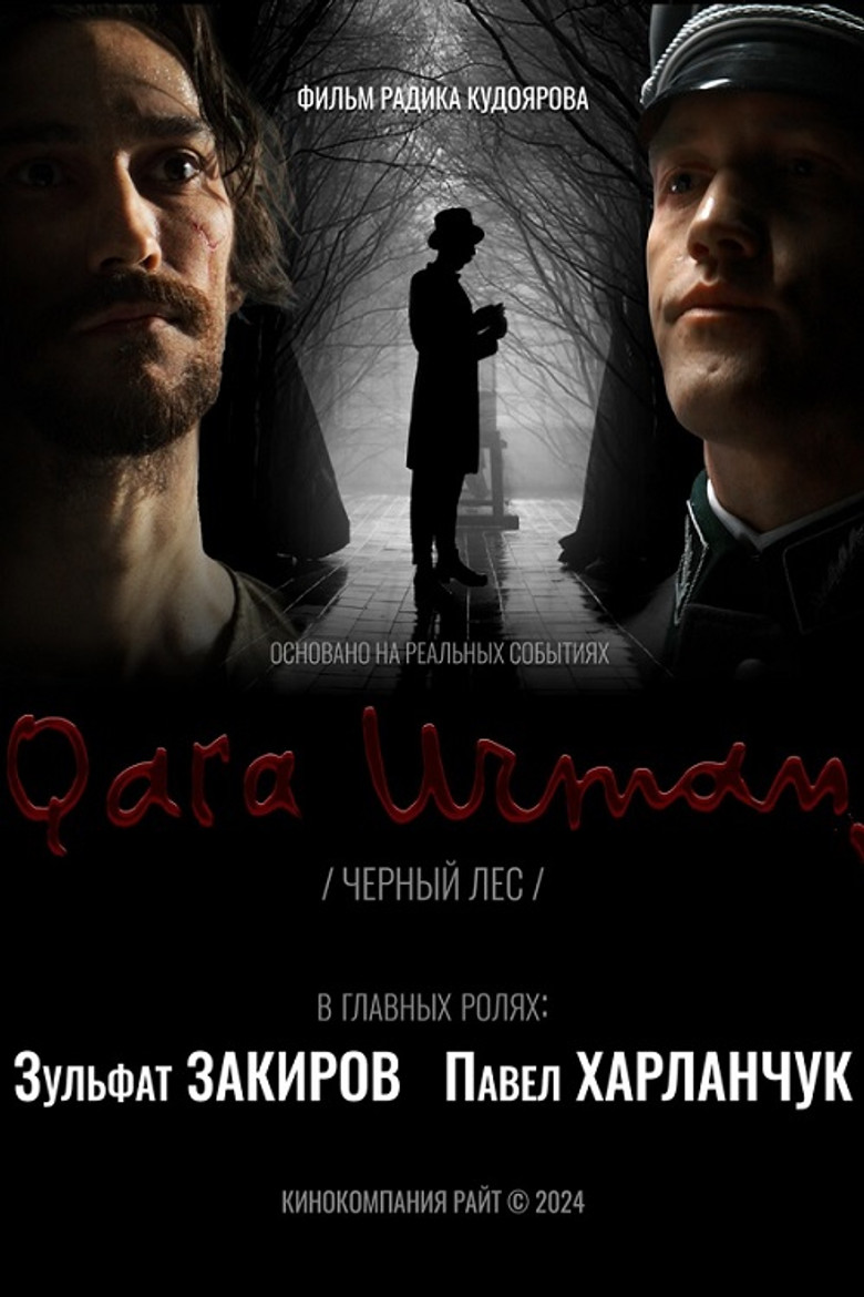 Постер фильма «Чёрный лес»