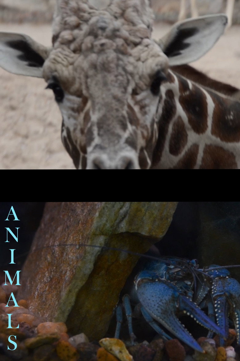 Постер фильма «Animals»