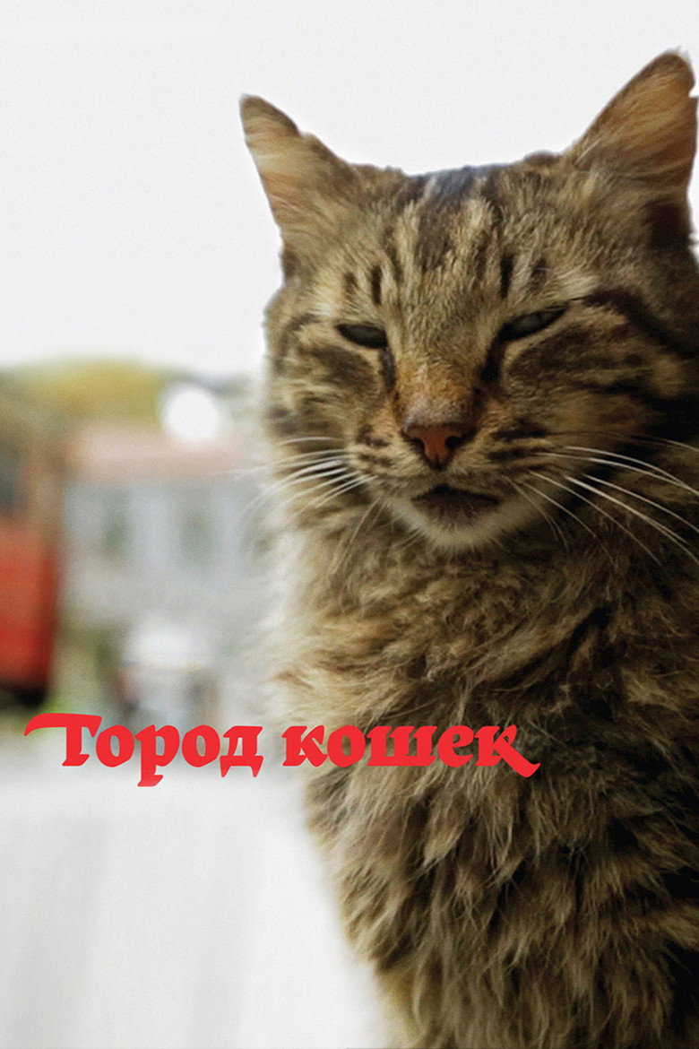 Постер фильма «Город кошек»