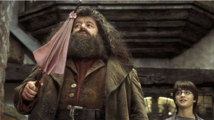 «Happee birthdae Harry»: 20 лет назад вышел «Гарри Поттер и Философский камень»