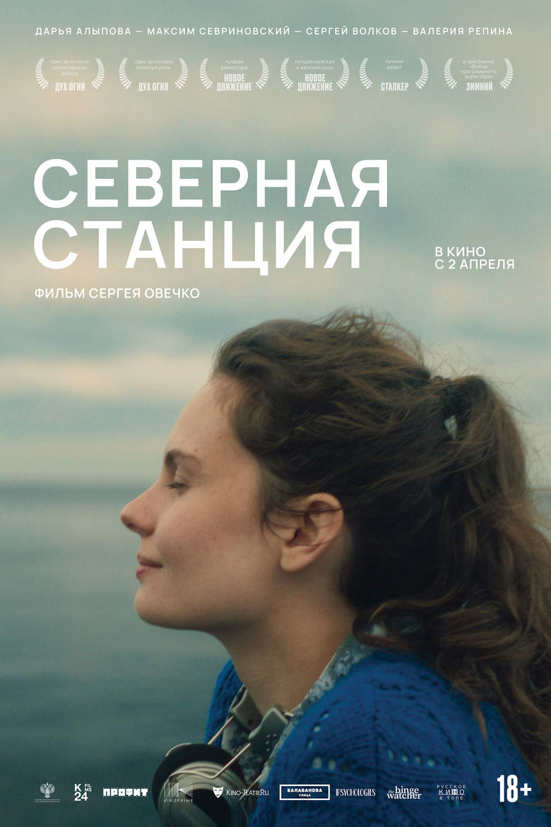 Постер фильма «Северная станция»