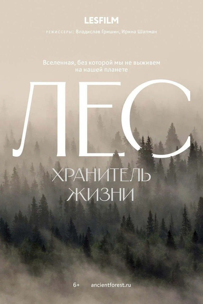 Постер фильма «Лес. Хранитель жизни»