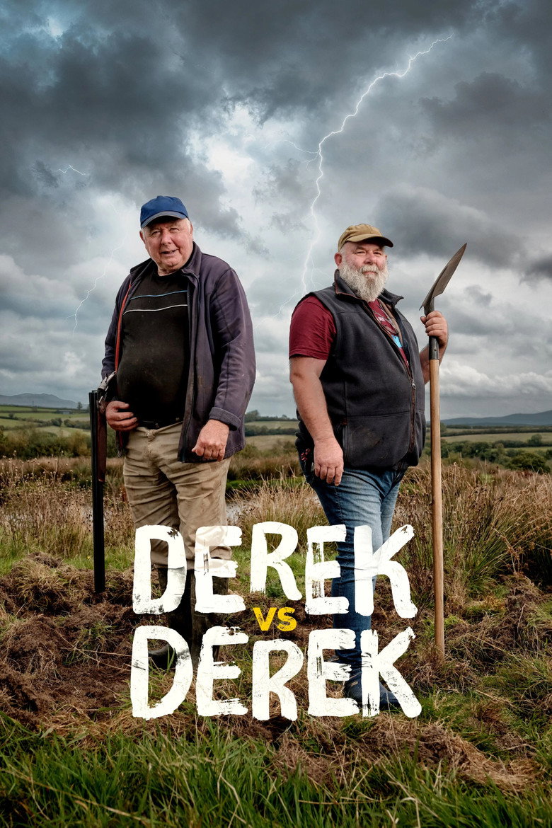 Постер фильма «Derek vs Derek»