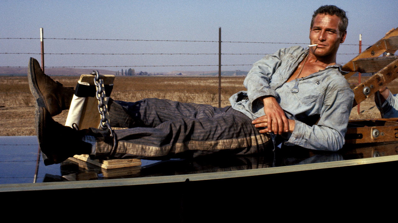Кадр из фильма «Хладнокровный Люк»