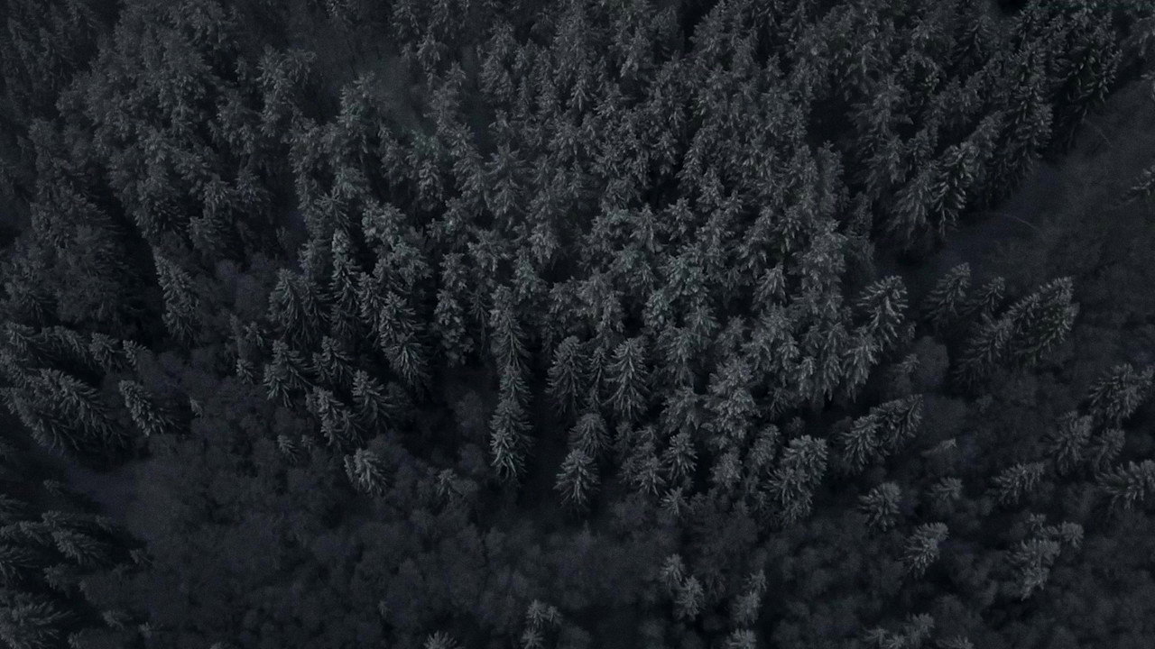 Кадр из фильма «Время монстров»