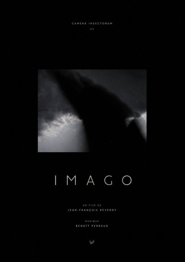 Постер фильма «IMAGO»
