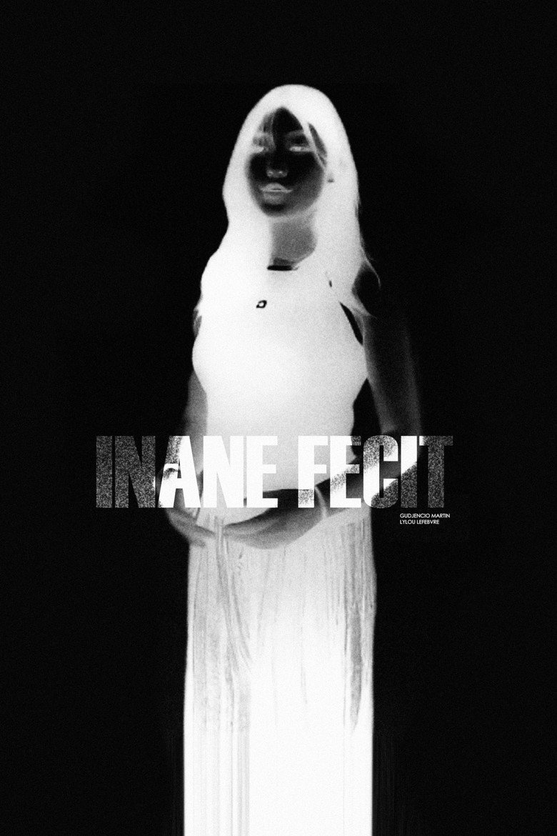 Постер фильма «INANE FECIT»