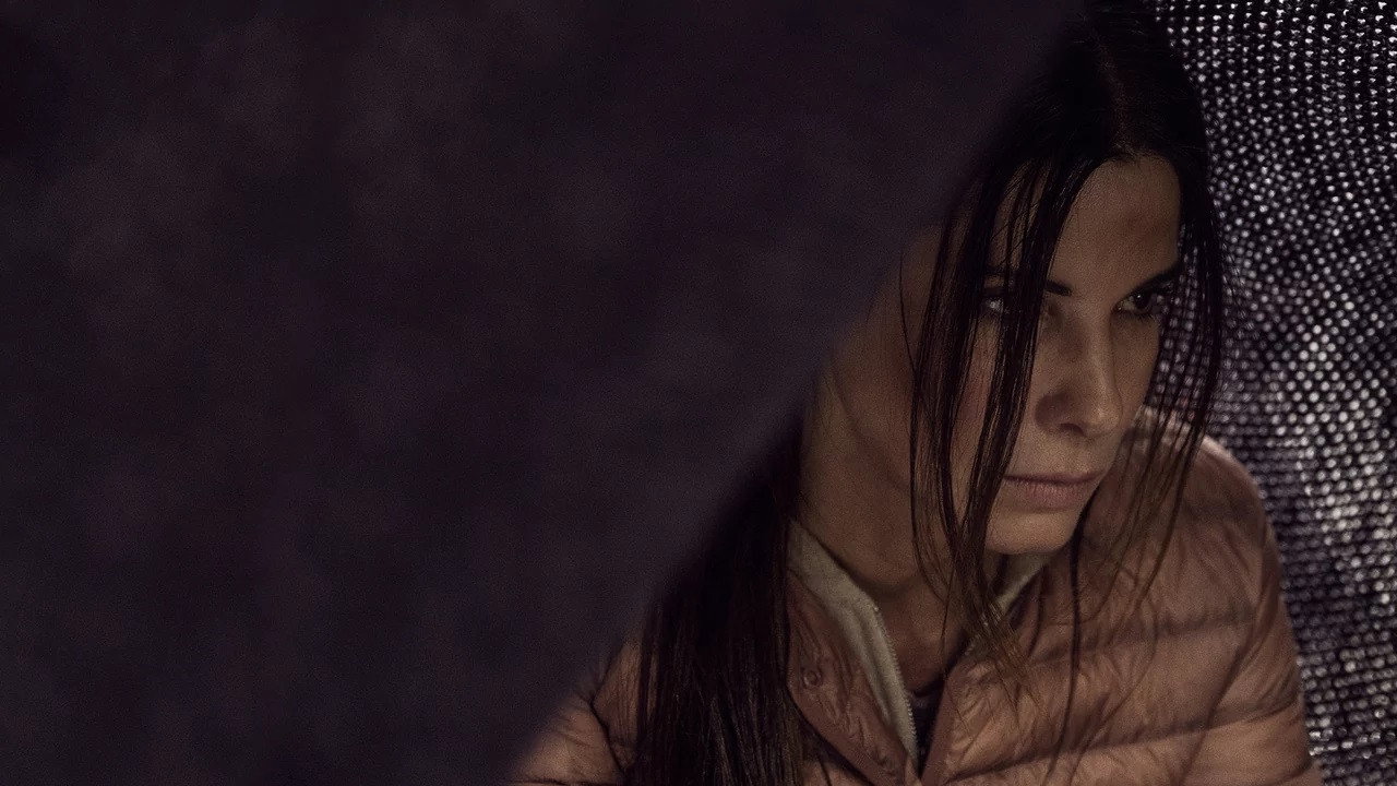 Кадр из фильма «Птичий короб»